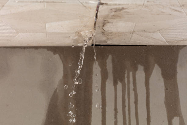Professional Water Damage Inspection technician working in Pelahatchie, MS